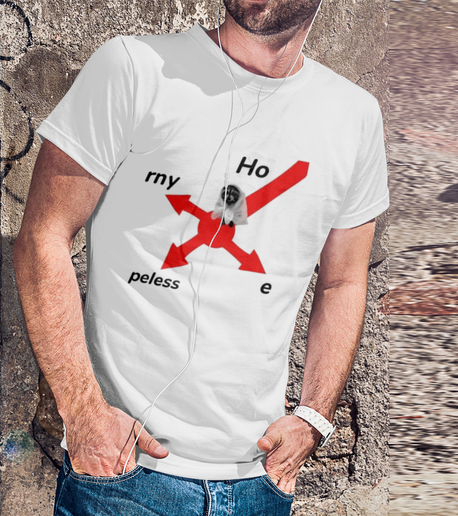 Raccoon Meme Ho Rny Peless Compass T-Shirt