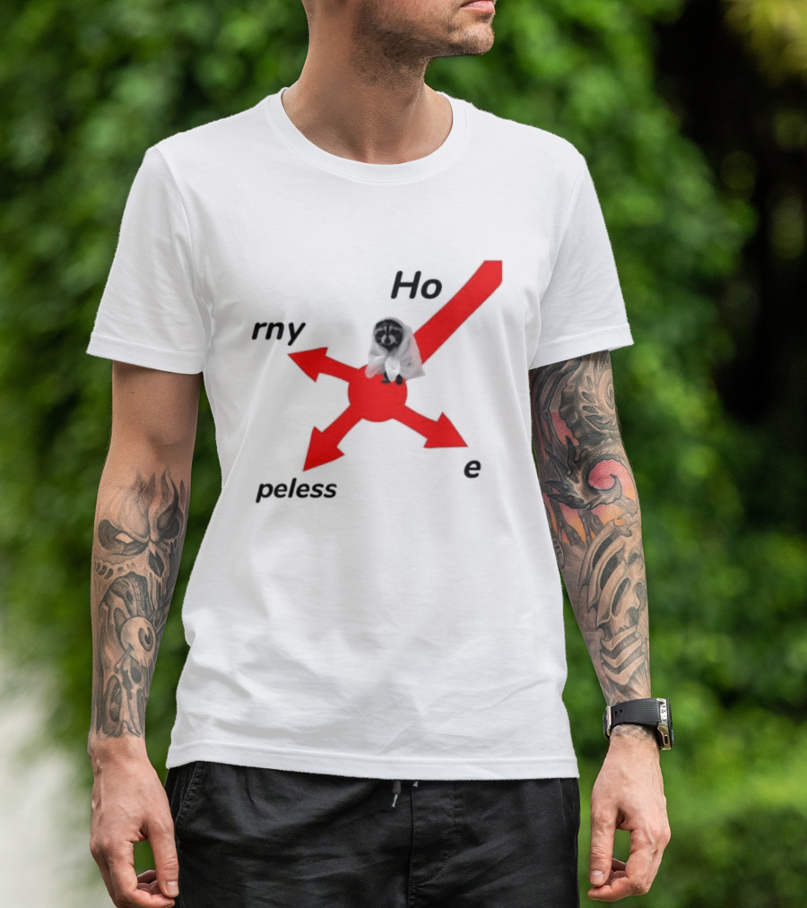 Raccoon Meme Ho Rny Peless Compass T-Shirt