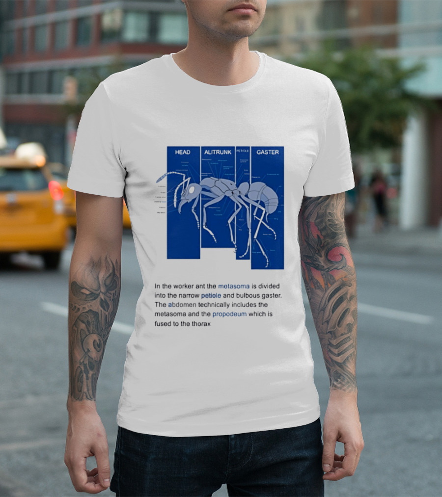 Worker Ant Diagram Head Alitrunk Gaster Metasoma Petiole Biology T-Shirt