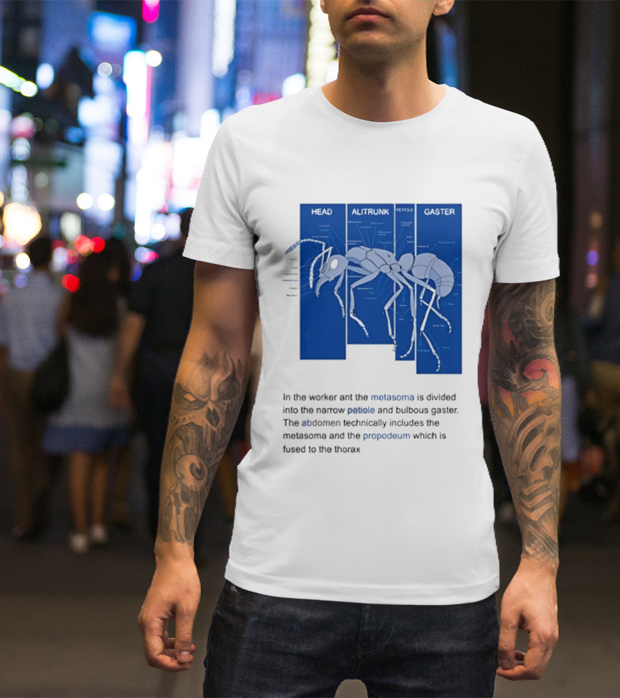 Worker Ant Diagram Head Alitrunk Gaster Metasoma Petiole Biology T-Shirt