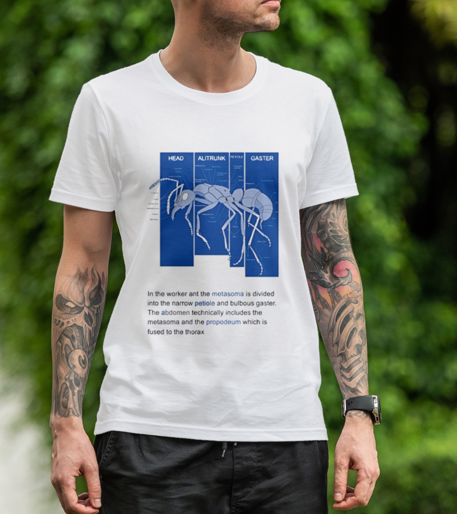 Worker Ant Diagram Head Alitrunk Gaster Metasoma Petiole Biology T-Shirt
