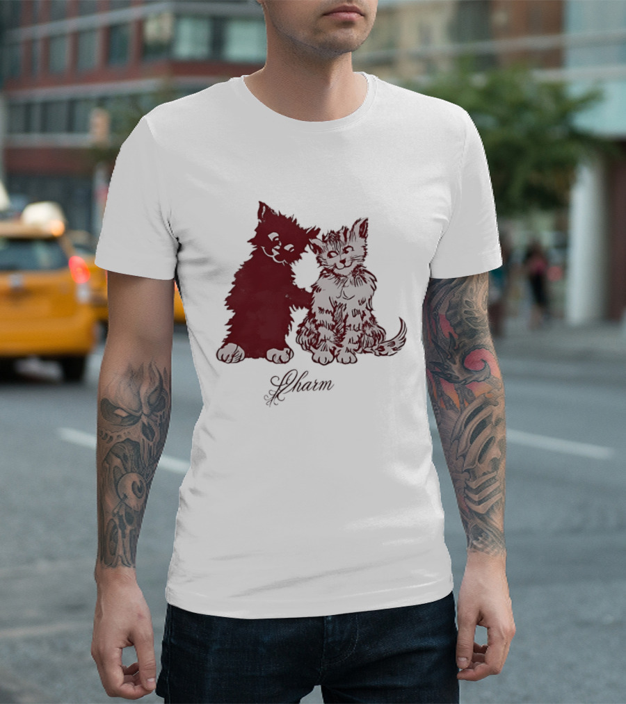 Charm Kittens Cats Hugging T-Shirt