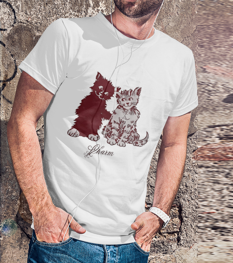 Charm Kittens Cats Hugging T-Shirt