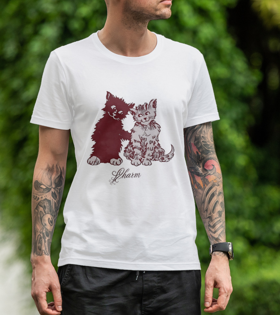 Charm Kittens Cats Hugging T-Shirt