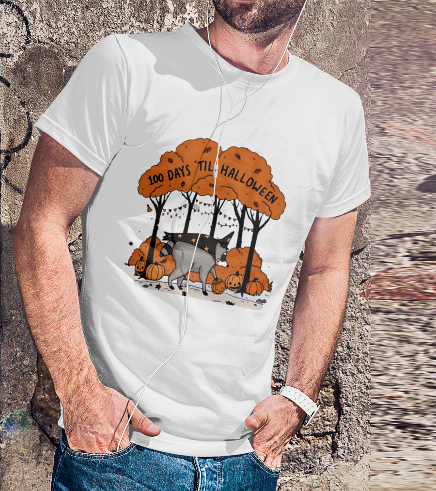 100 Days 'til Halloween Raccoon Wizard Costume In Pumpkin Patch Forest T-Shirt