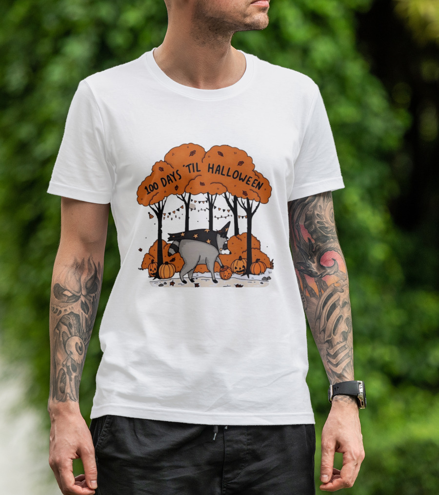 100 Days 'til Halloween Raccoon Wizard Costume In Pumpkin Patch Forest T-Shirt