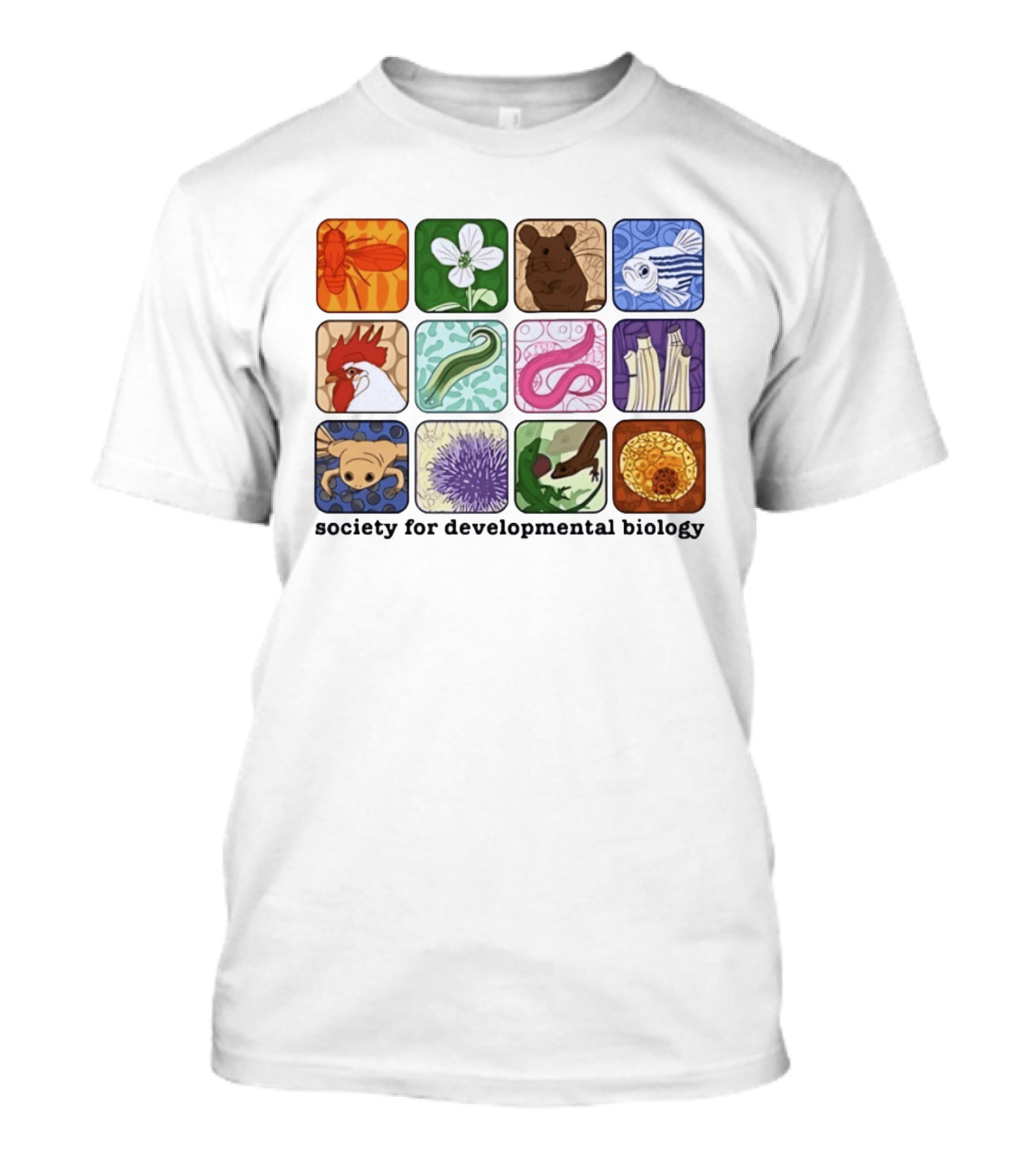 Society For Developmental Biology Model Organisms Collage Fly Plant Mouse Fish Chicken Worm Frog Plant Embryo Egg Cell T-Shirt