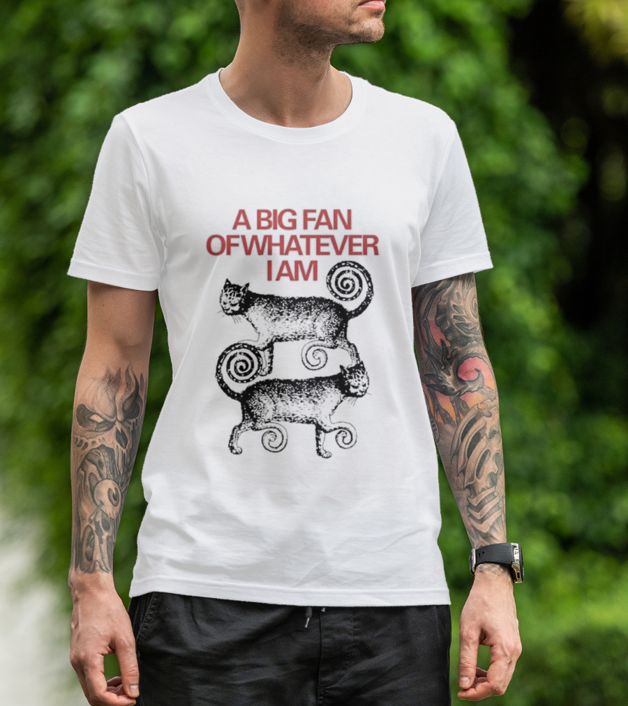 A Big Fan Of Whatever I Am Spiral Cats T-Shirt