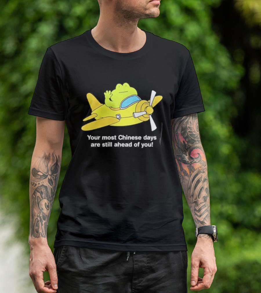Frog Your Most Chinese Days Are Still Ahead Of You Airplane Scene T-Shirt