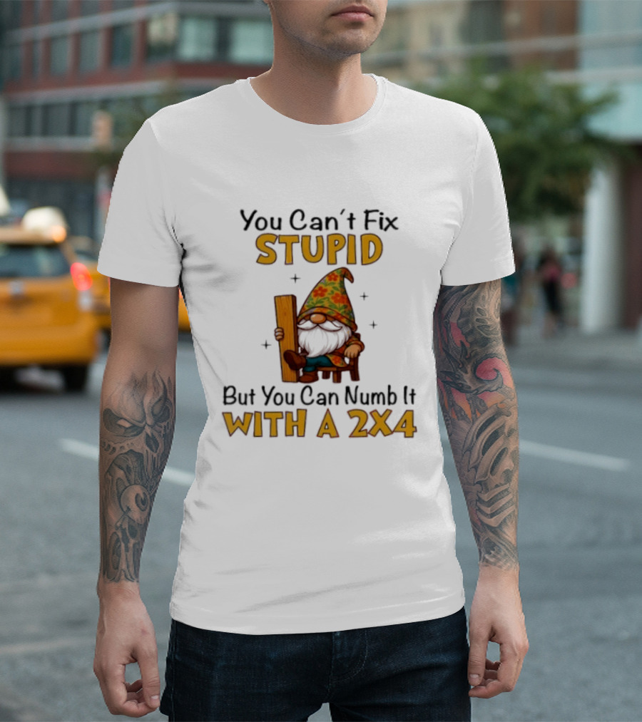 You Can't Fix Stupid But You Can Numb It With A 2x4 Gnome Holding Wood Humor T-Shirt