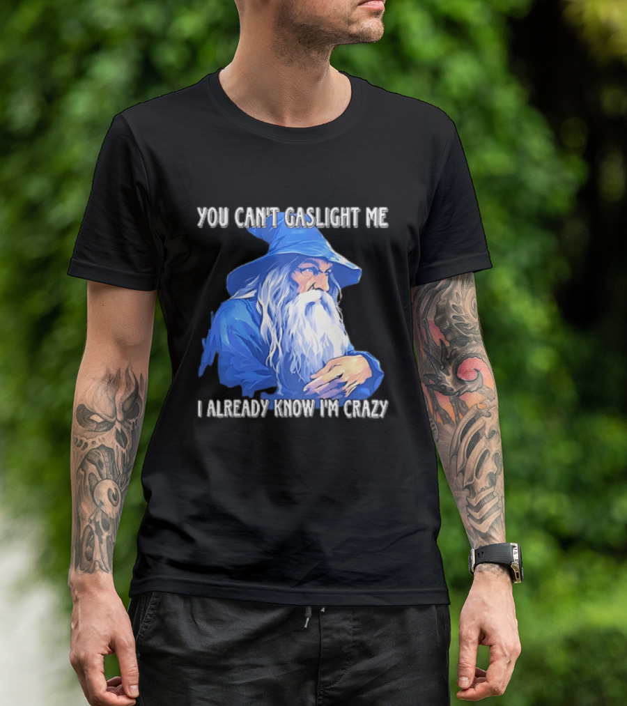 You Can't Gaslight Me I Already Know I'm Crazy Wizard Robe And Hat T-Shirt