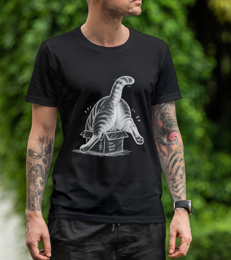 Too Small Bro Tabby Cat Stuck In Box Rear View T-Shirt
