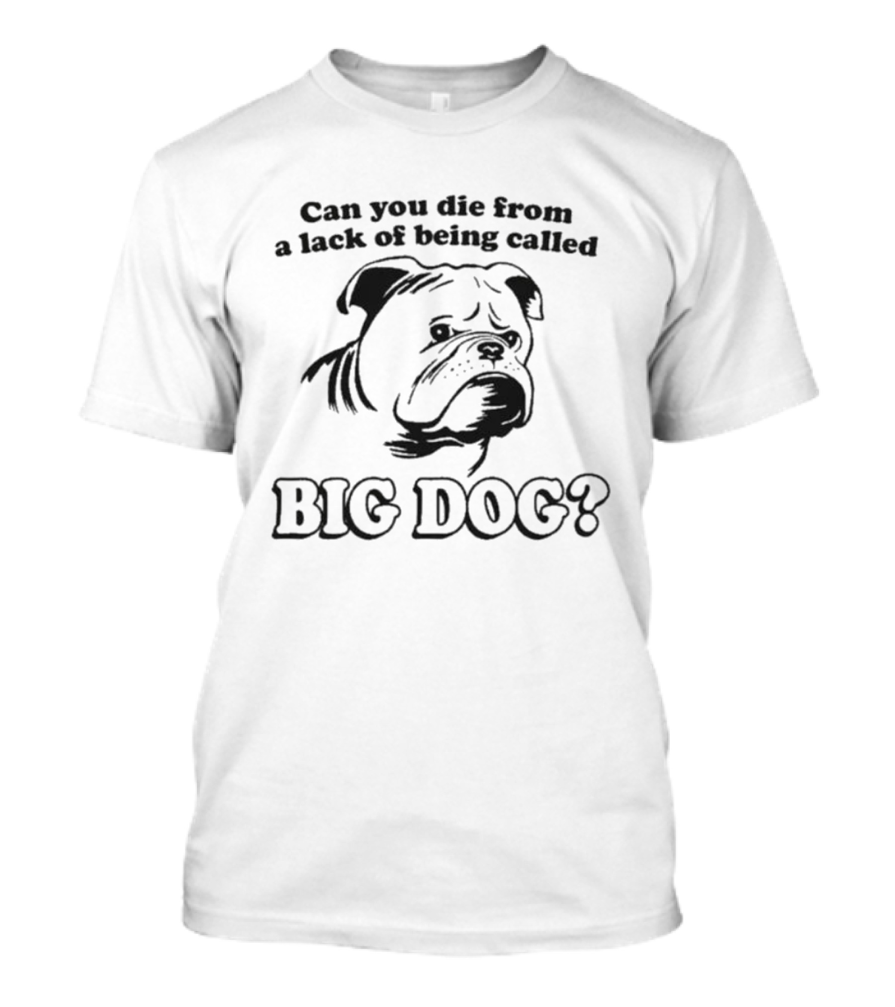 Can You Die From A Lack Of Being Called Big Dog Bulldog T-Shirt
