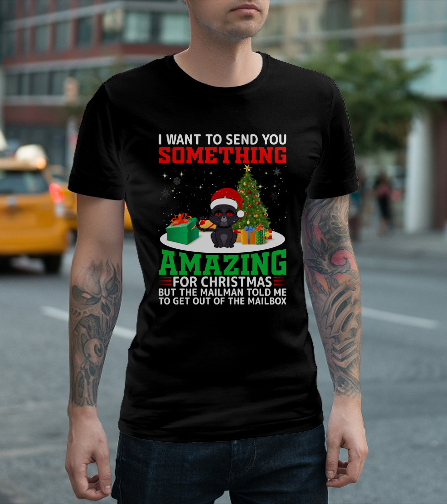 I Want To Send You Something Amazing For Christmas But The Mailman Told Me To Get Out Of The Mailbox T-Shirt