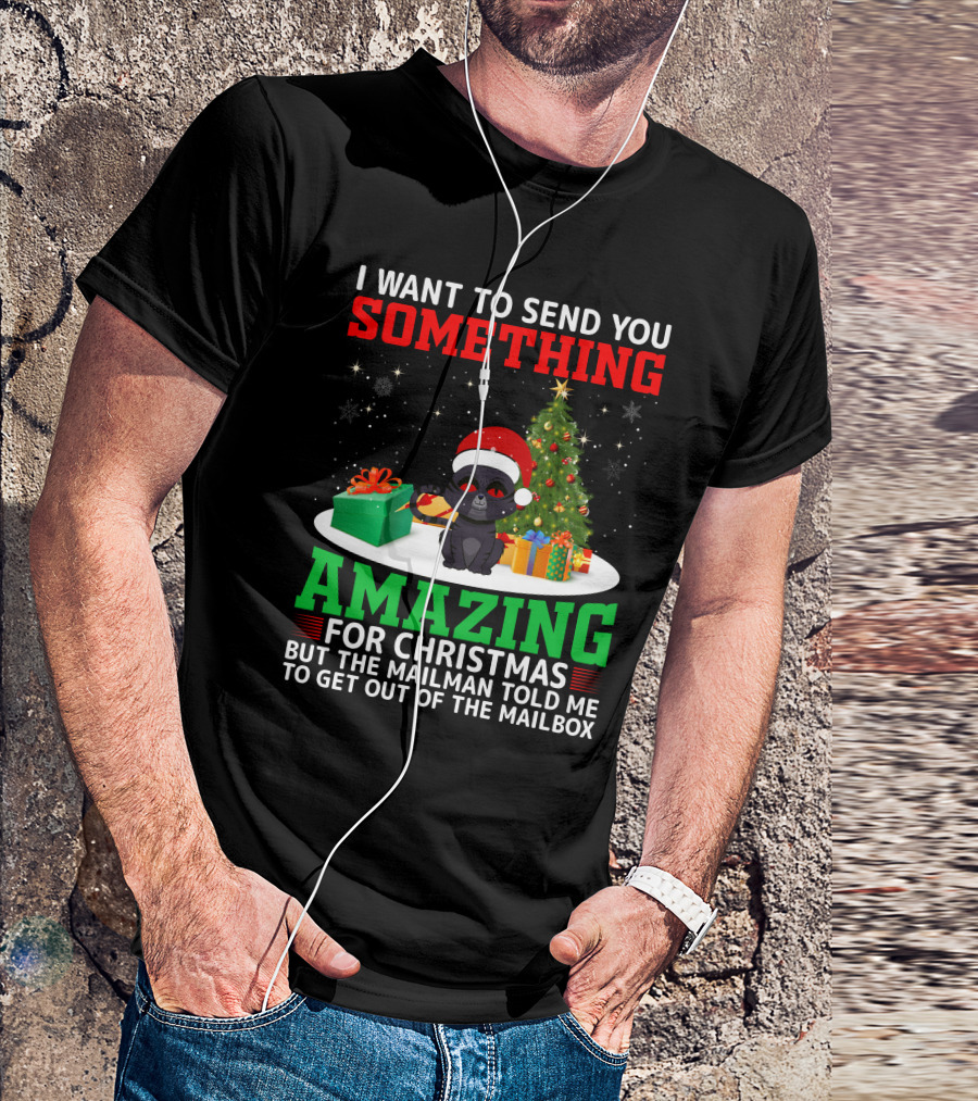 I Want To Send You Something Amazing For Christmas But The Mailman Told Me To Get Out Of The Mailbox T-Shirt