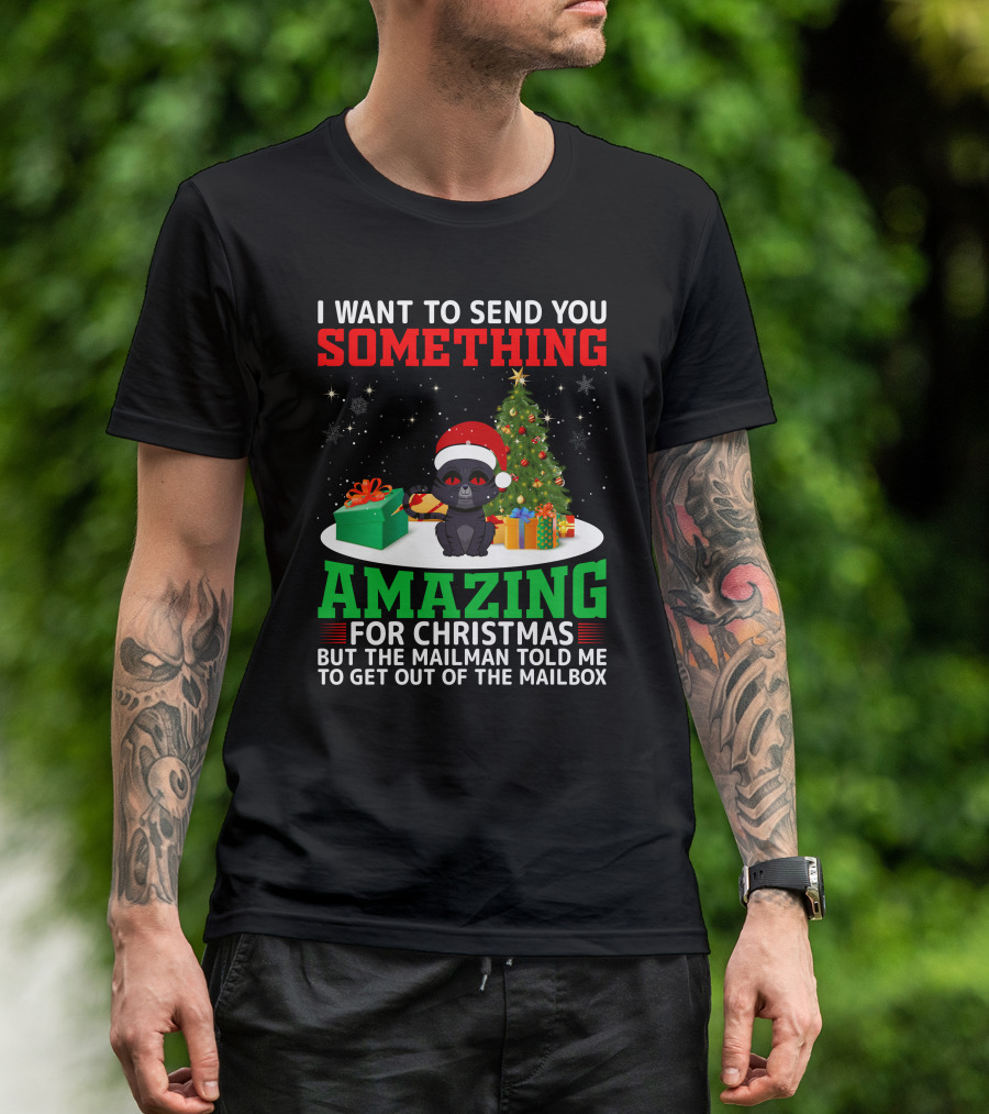 I Want To Send You Something Amazing For Christmas But The Mailman Told Me To Get Out Of The Mailbox T-Shirt