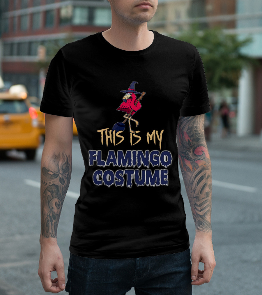 This Is My Flamingo Costume Witch Broomstick Family T-Shirt