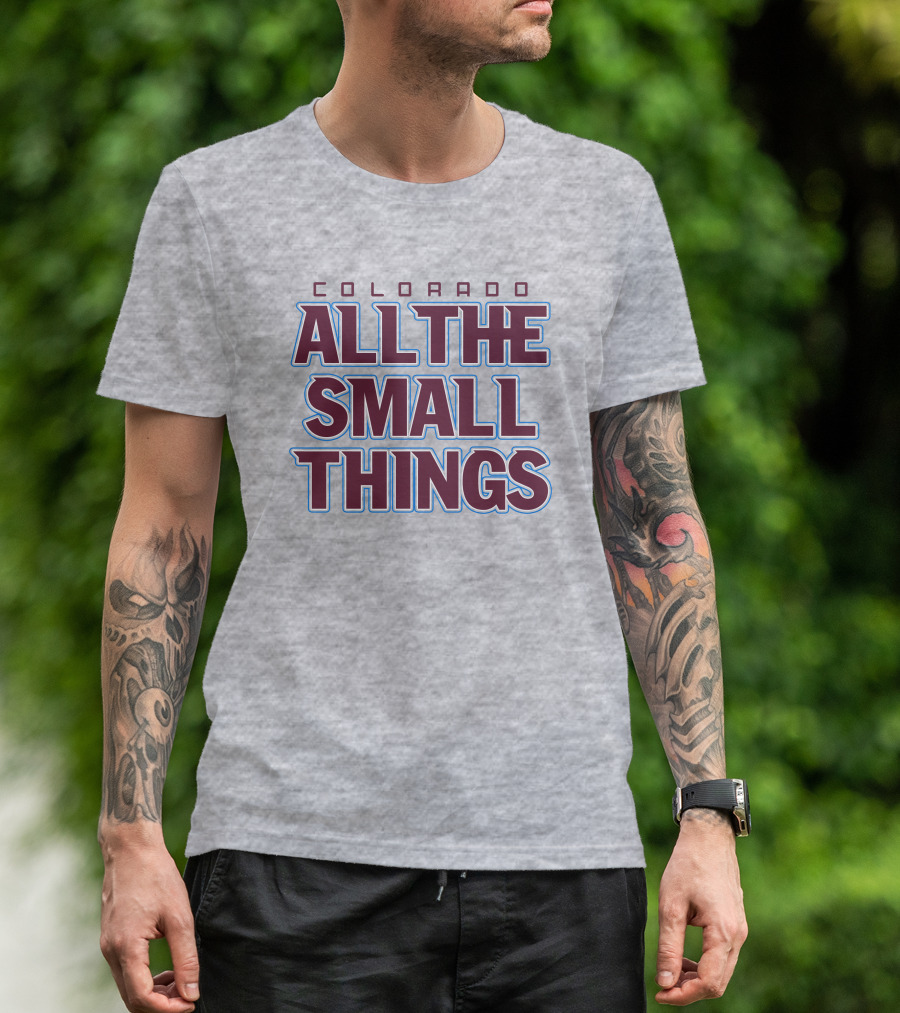 Colorado All The Small Things T-Shirt