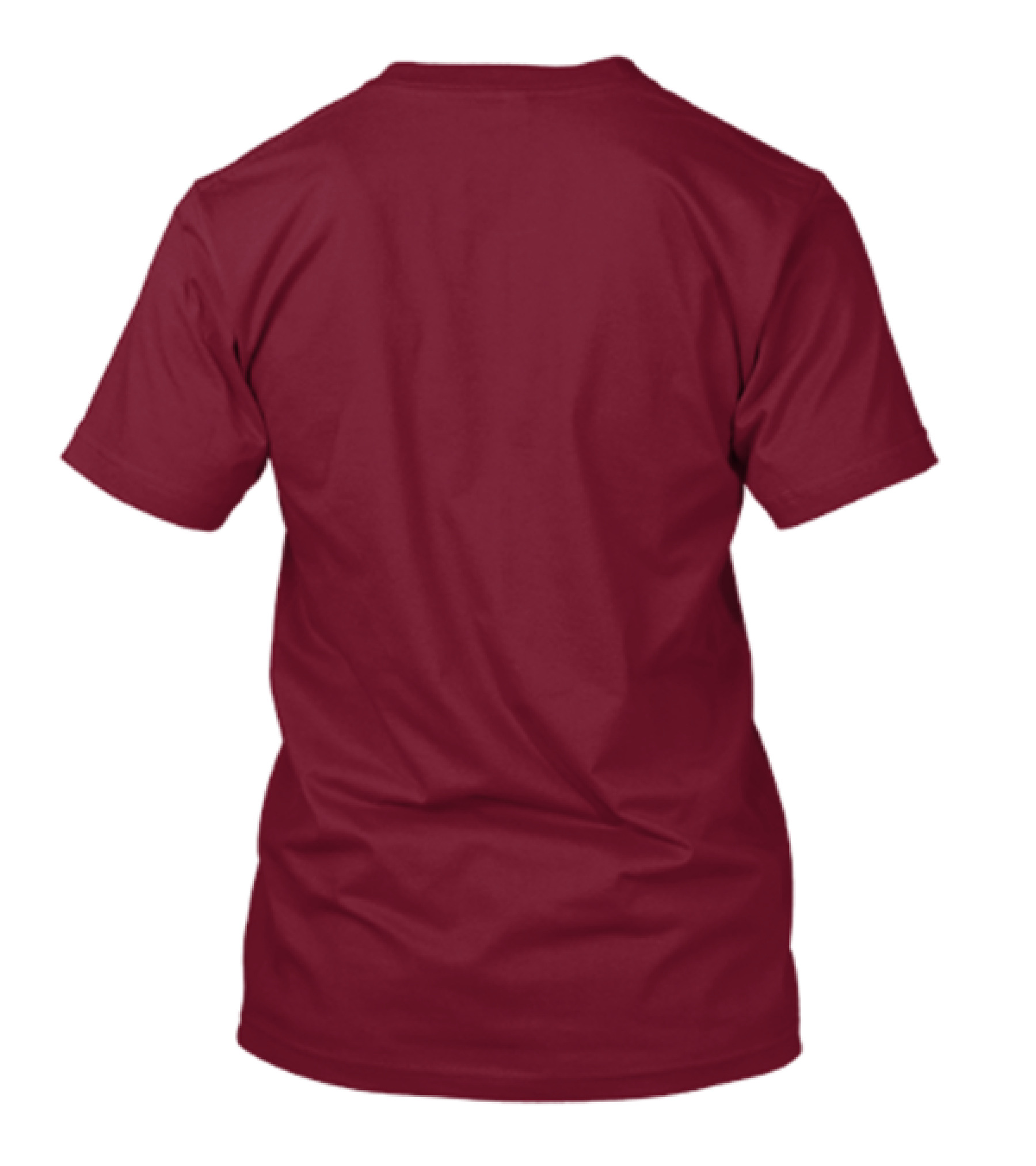 I Will Love My Redskins Here Or There I Will Love My Redskins Everywhere T-Shirt