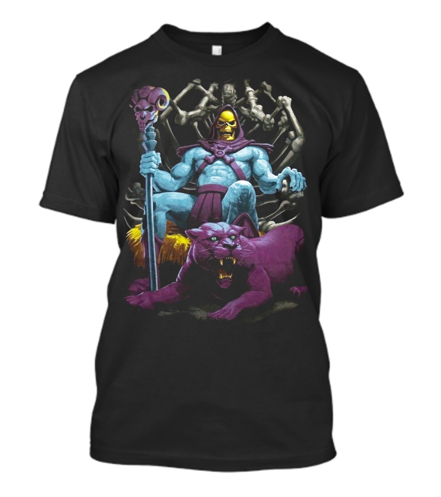 Skeletor And Panthor Masters Of The Universe Villain T-Shirt