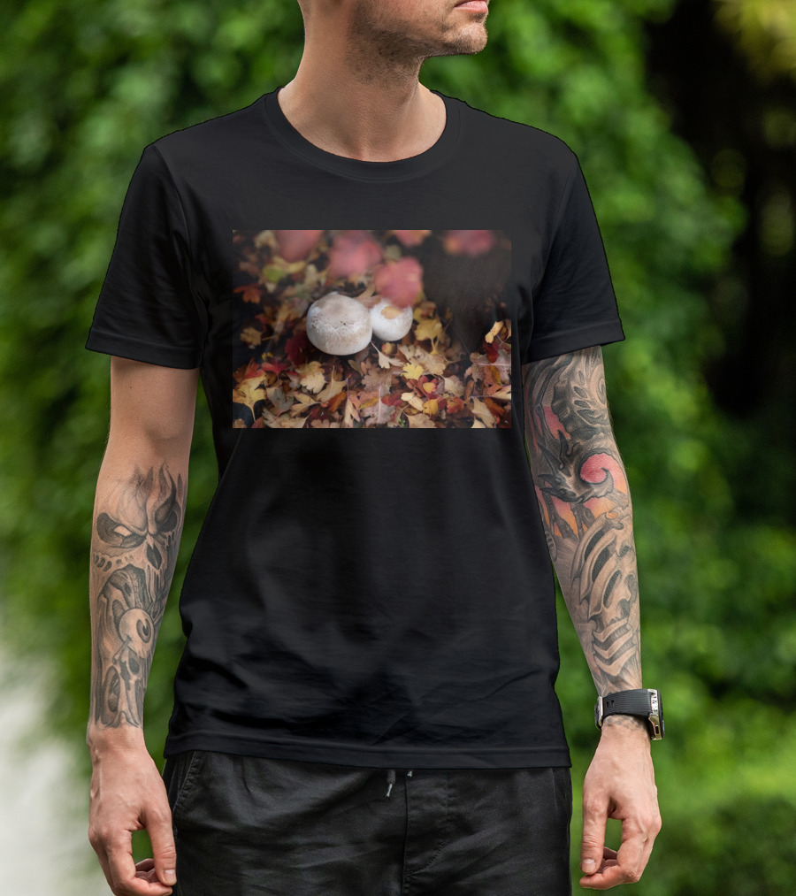 Autumn's Reward Mushrooms Amidst Fall Leaves T-Shirt