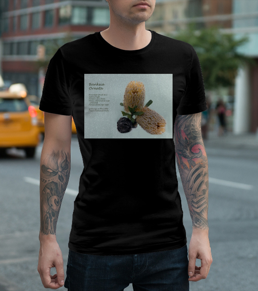 Banksia Ornata Rounded Shrubs Little Desert National Park Flowers T-Shirt