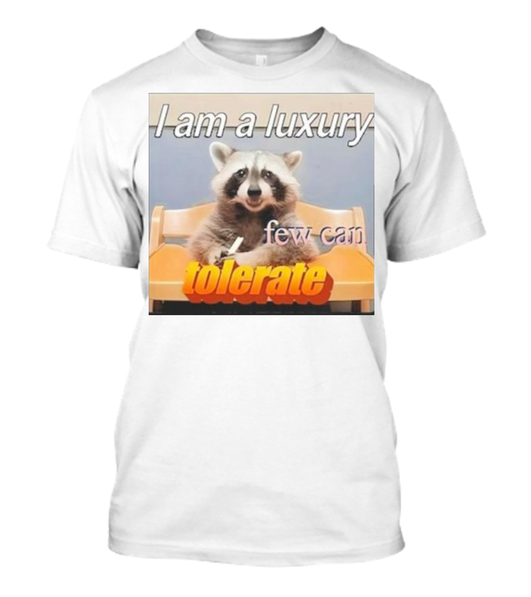 Raccoon Meme I Am A Luxury Few Can Tolerate T-Shirt