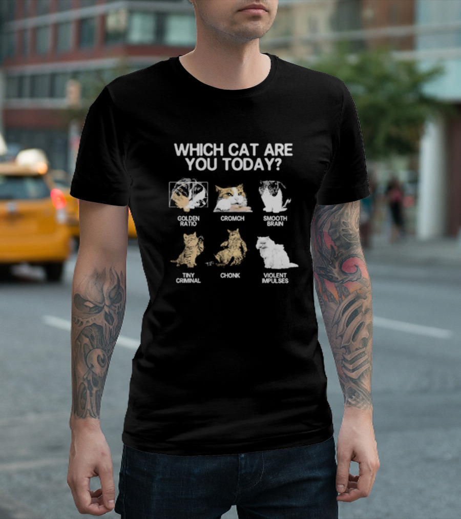 Which Cat Are You Today Golden Ratio Cromch Smooth Brain Tiny Criminal Chonk Violent Impulses T-Shirt