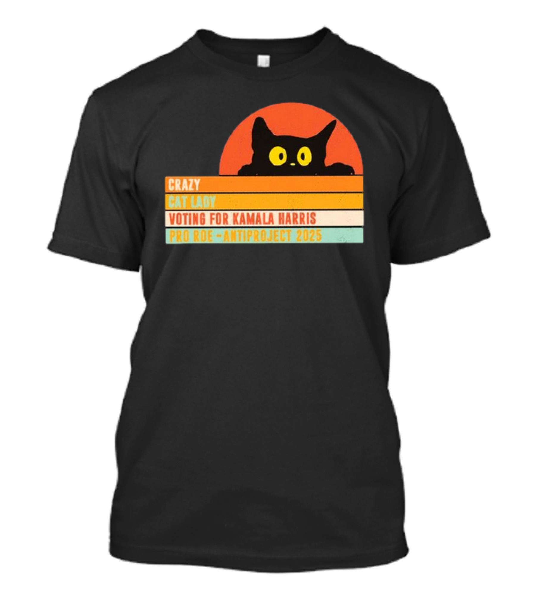 Crazy Cat Lady Voting For Kamala Harris Pro Roe Anti Project 2025 T-Shirt
