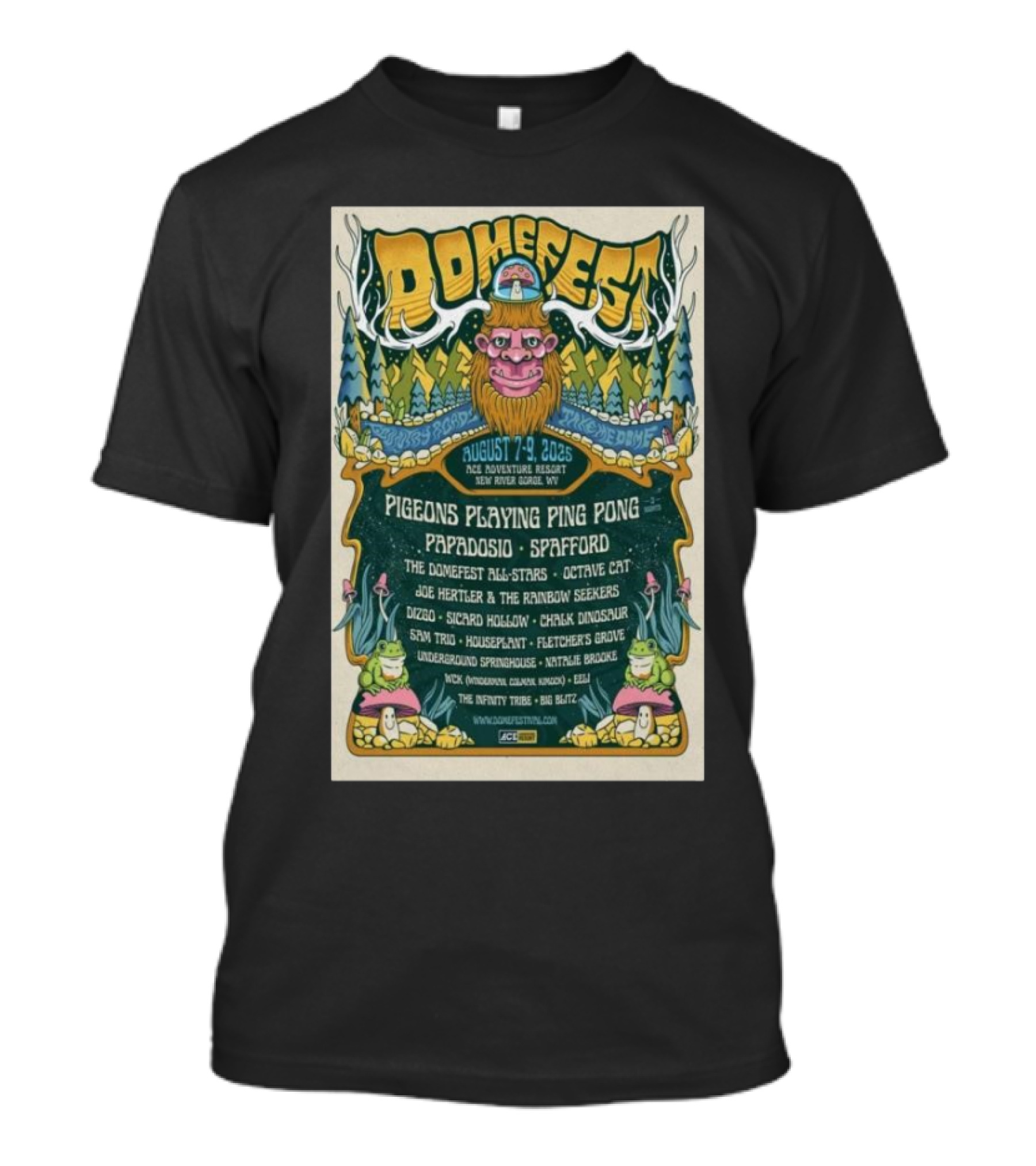 Domefest Live In New River Gorge, WV August 7-9 2025 T-Shirt