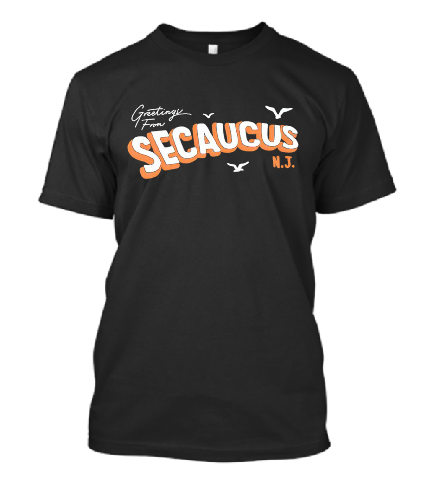 Greetings From Secaucus N.J. Vintage Postcard Style With Seagulls T-Shirt