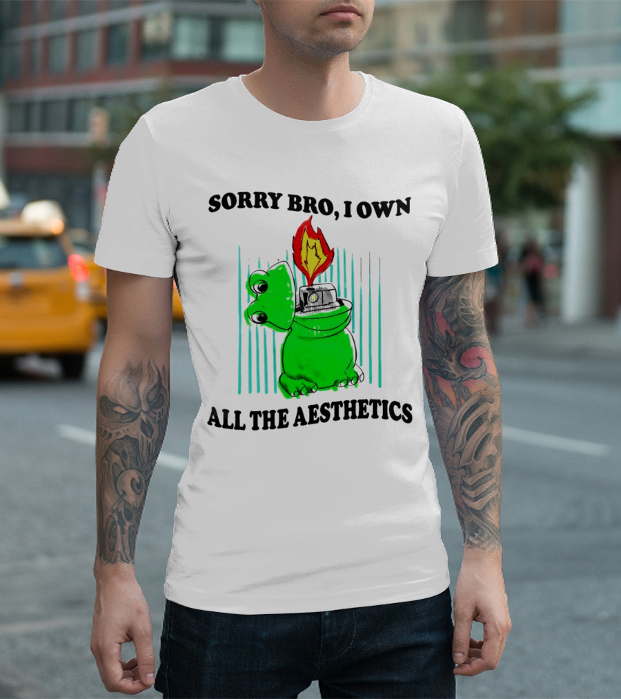 Sorry Bro I Own All The Aesthetics Melting Frog Lighter Flame T-Shirt