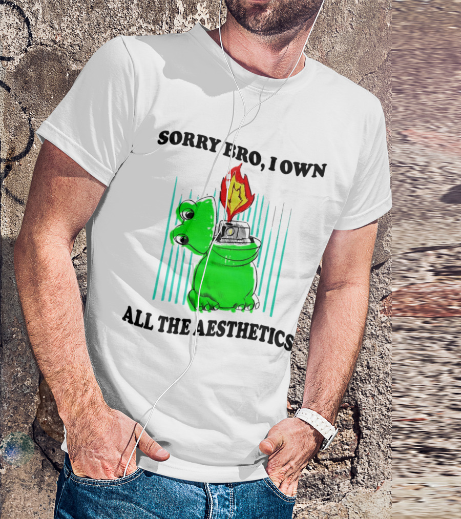 Sorry Bro I Own All The Aesthetics Melting Frog Lighter Flame T-Shirt
