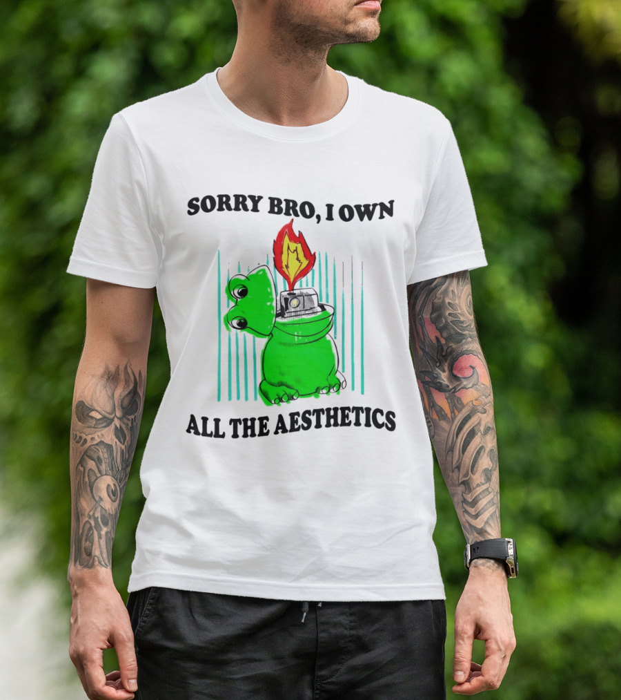 Sorry Bro I Own All The Aesthetics Melting Frog Lighter Flame T-Shirt