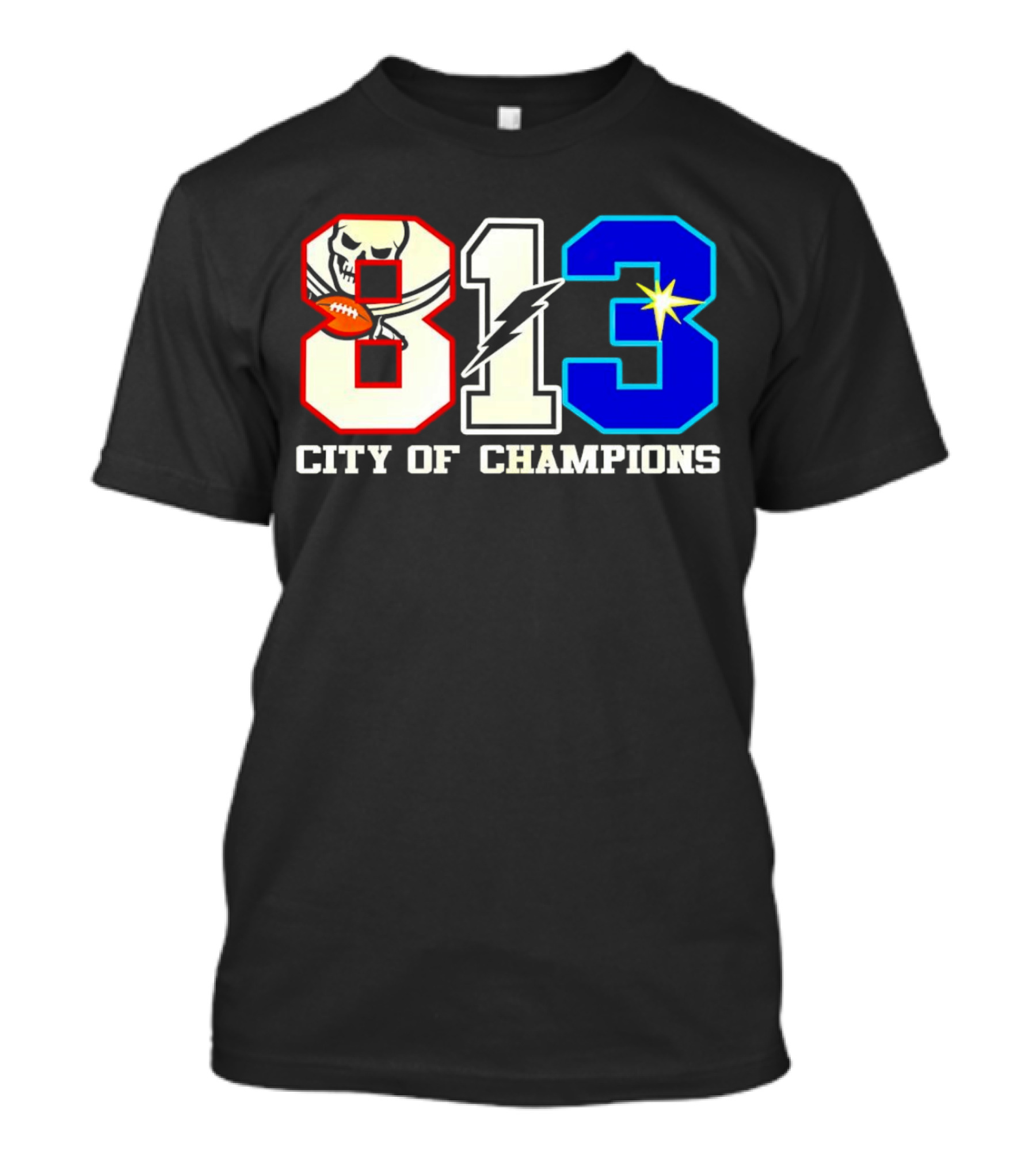 Tampa Bay 813 City Of Champions Buccaneers Lightning Rays T-Shirt
