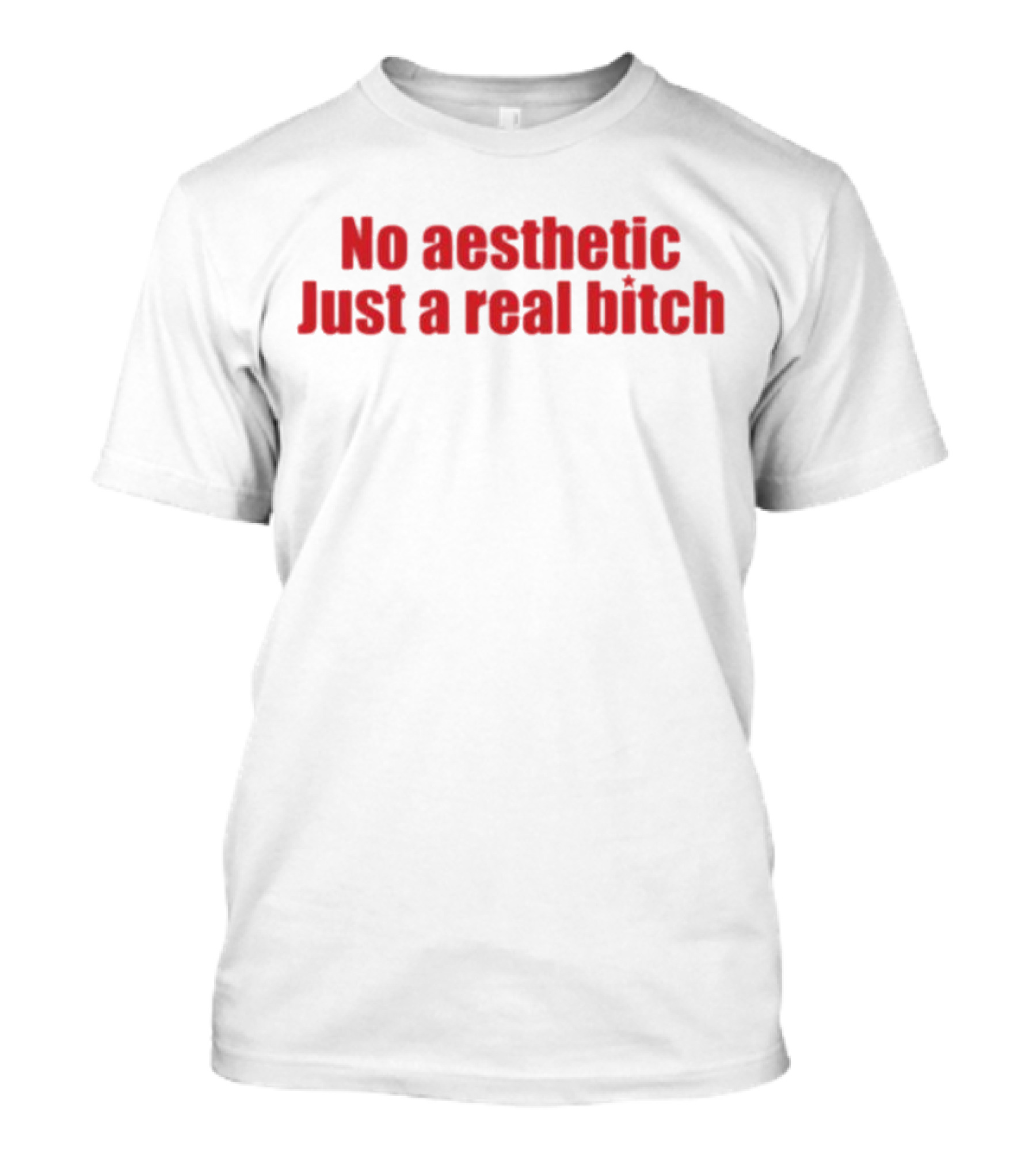 No Aesthetic Just A Real Bitch Red T-Shirt