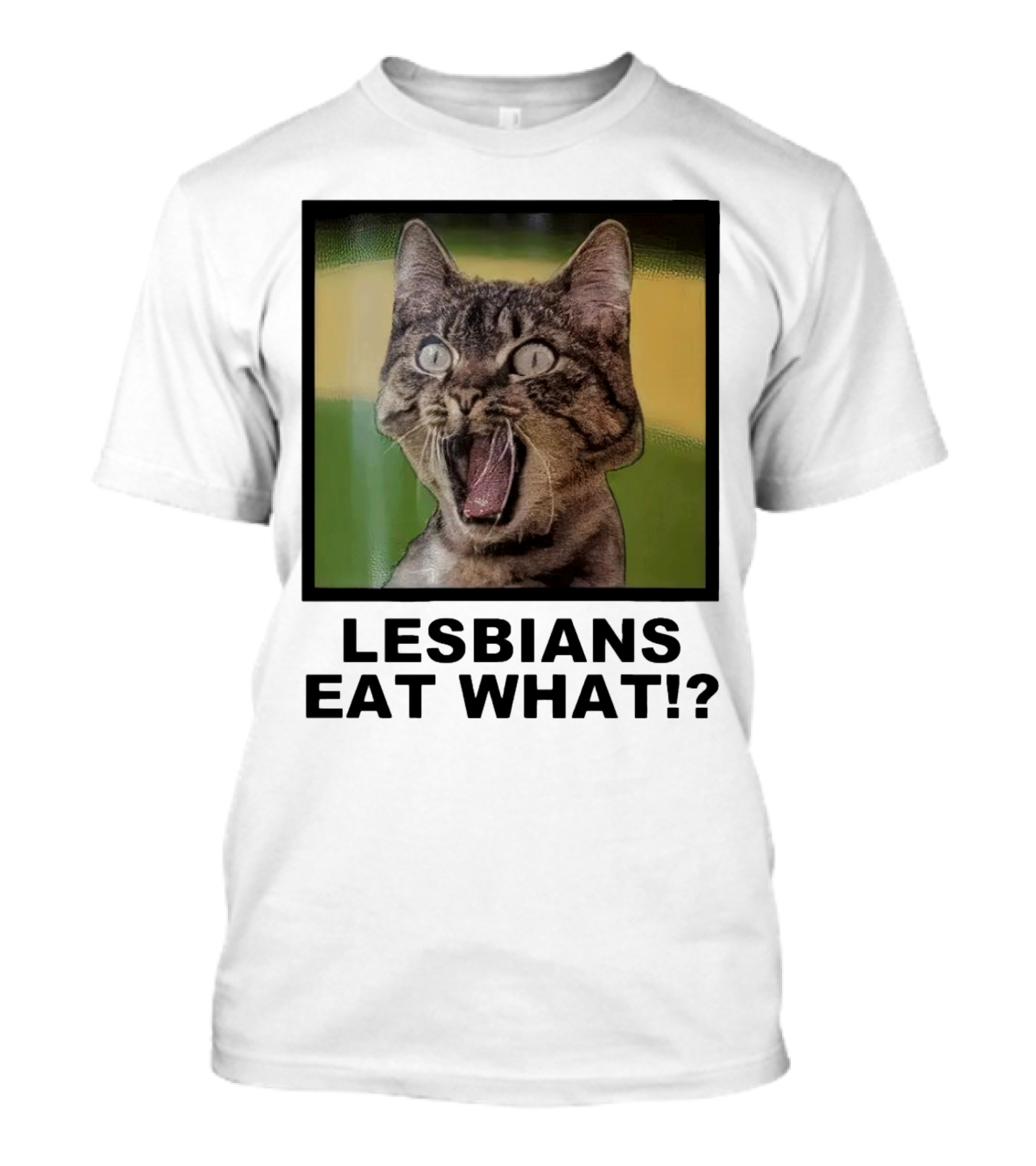 Lesbians Eat What Cat Lover LGBT T-Shirt
