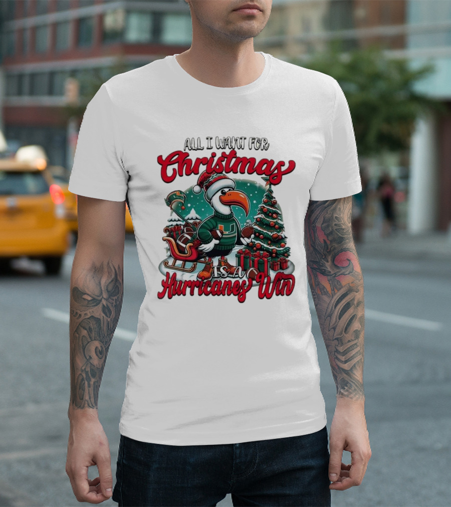 All I Want For Christmas Is A Hurricanes Win Santa Birdfest T-Shirt