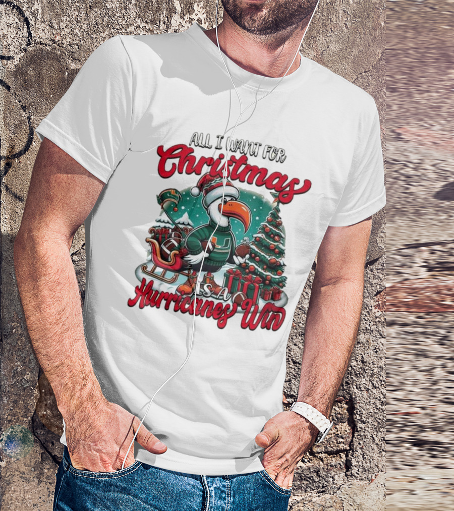 All I Want For Christmas Is A Hurricanes Win Santa Birdfest T-Shirt