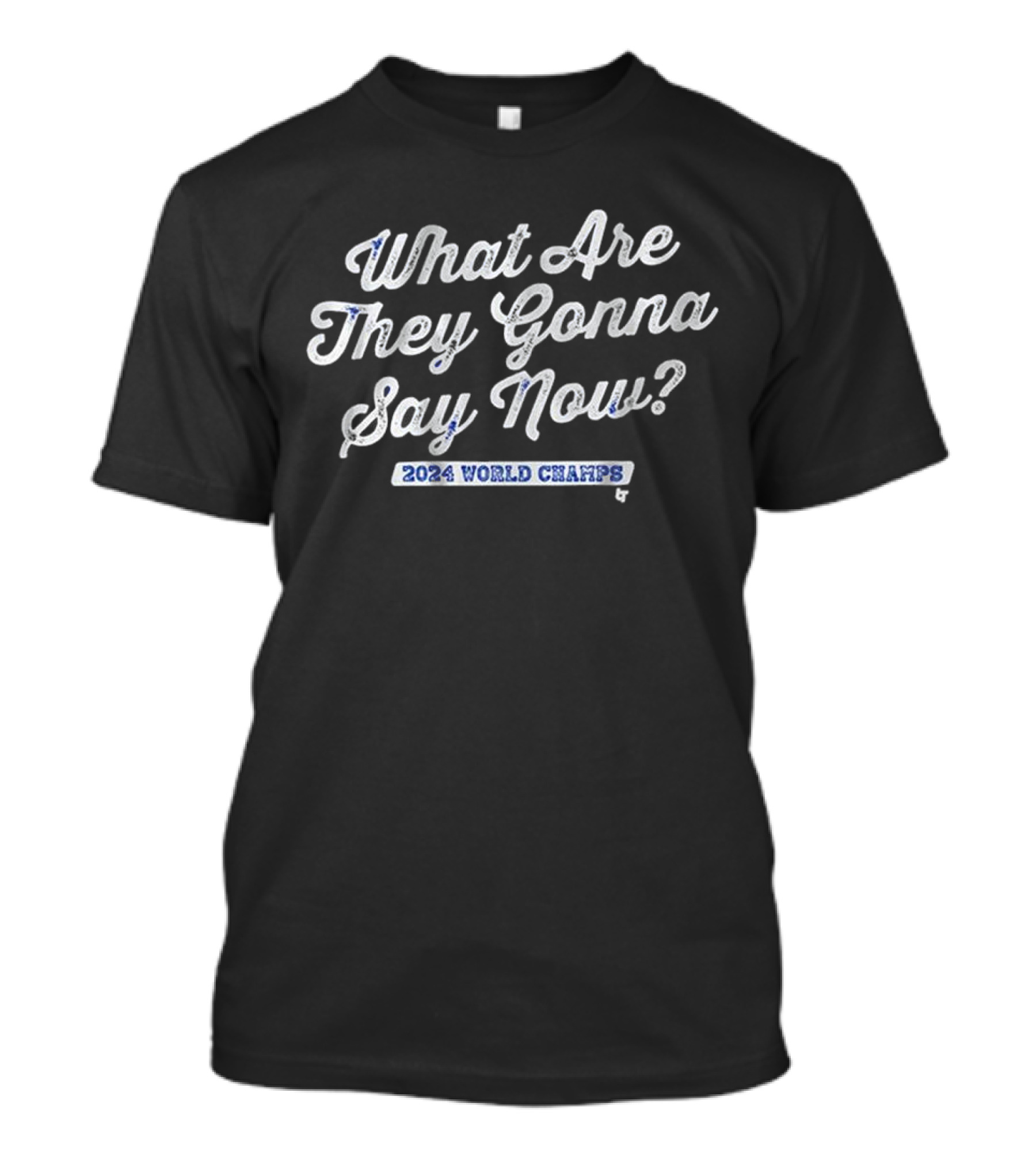 Los Angeles Baseball What Are They Gonna Say Now 2024 World Champs T-Shirt