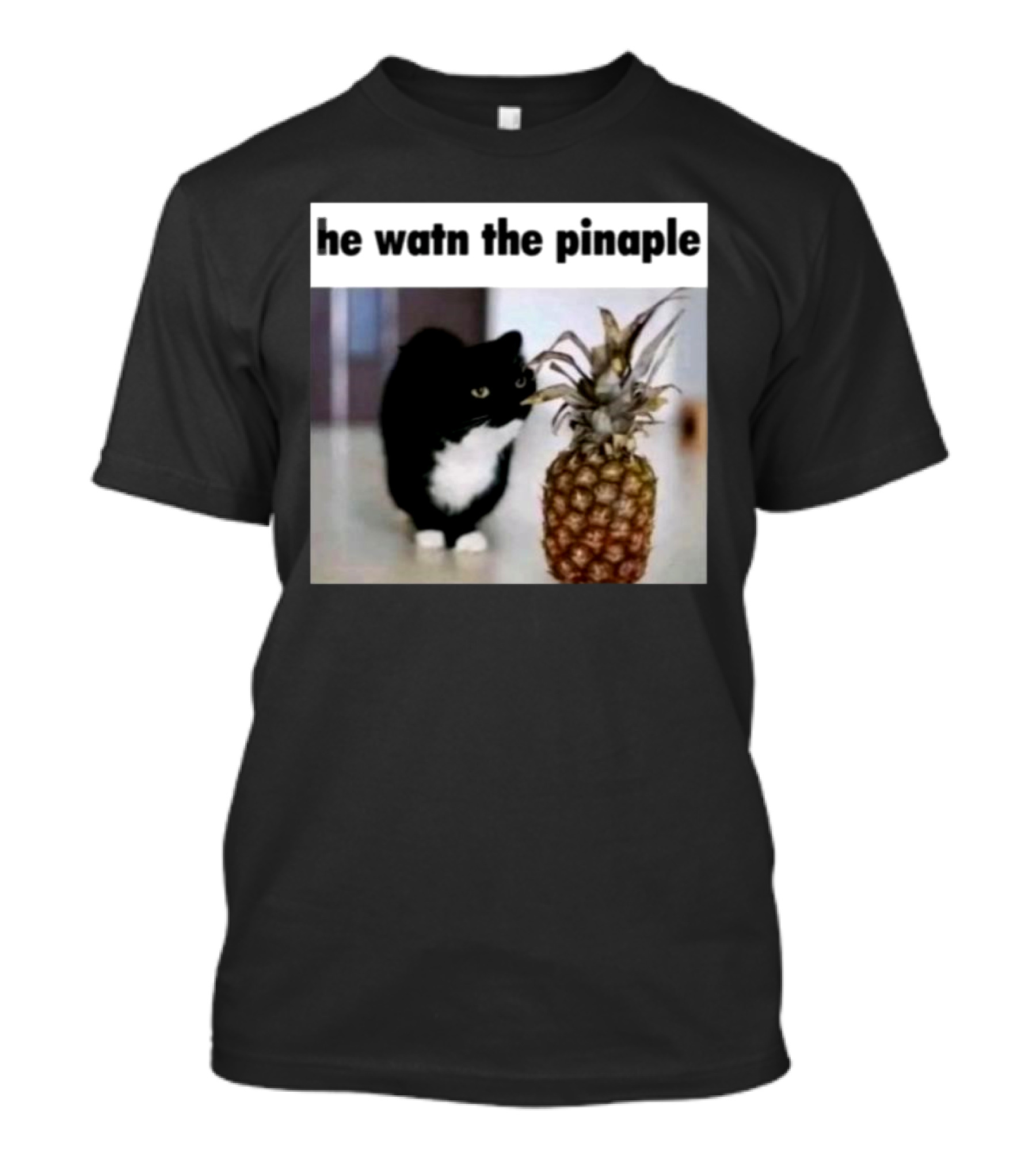 He Watn The Pinaple Cat Meme With Pineapple T-Shirt