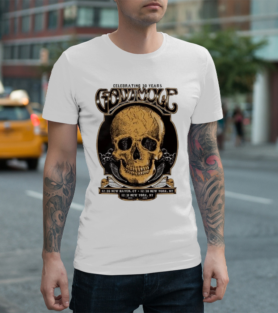 Celebrating 30 Years Gov’t Mule Skull Design Dec 28 New Haven CT Dec 30-31 New York NY T-Shirt