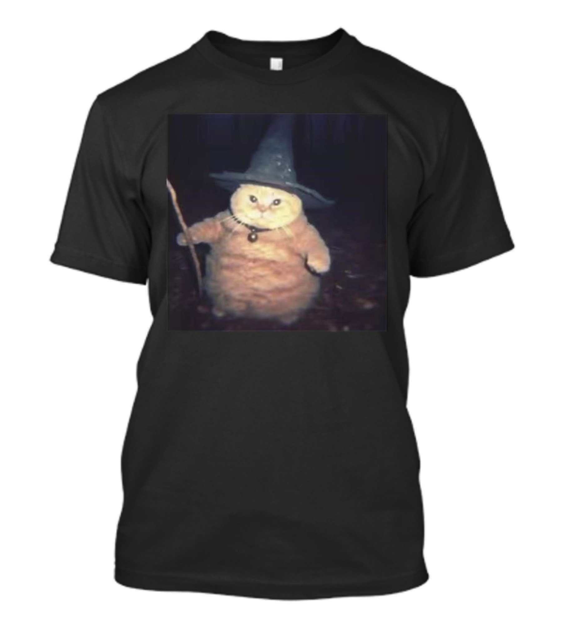 Cheeseball The Wizard Cat Meme Wearing Witch Hat And Holding Wand T-Shirt