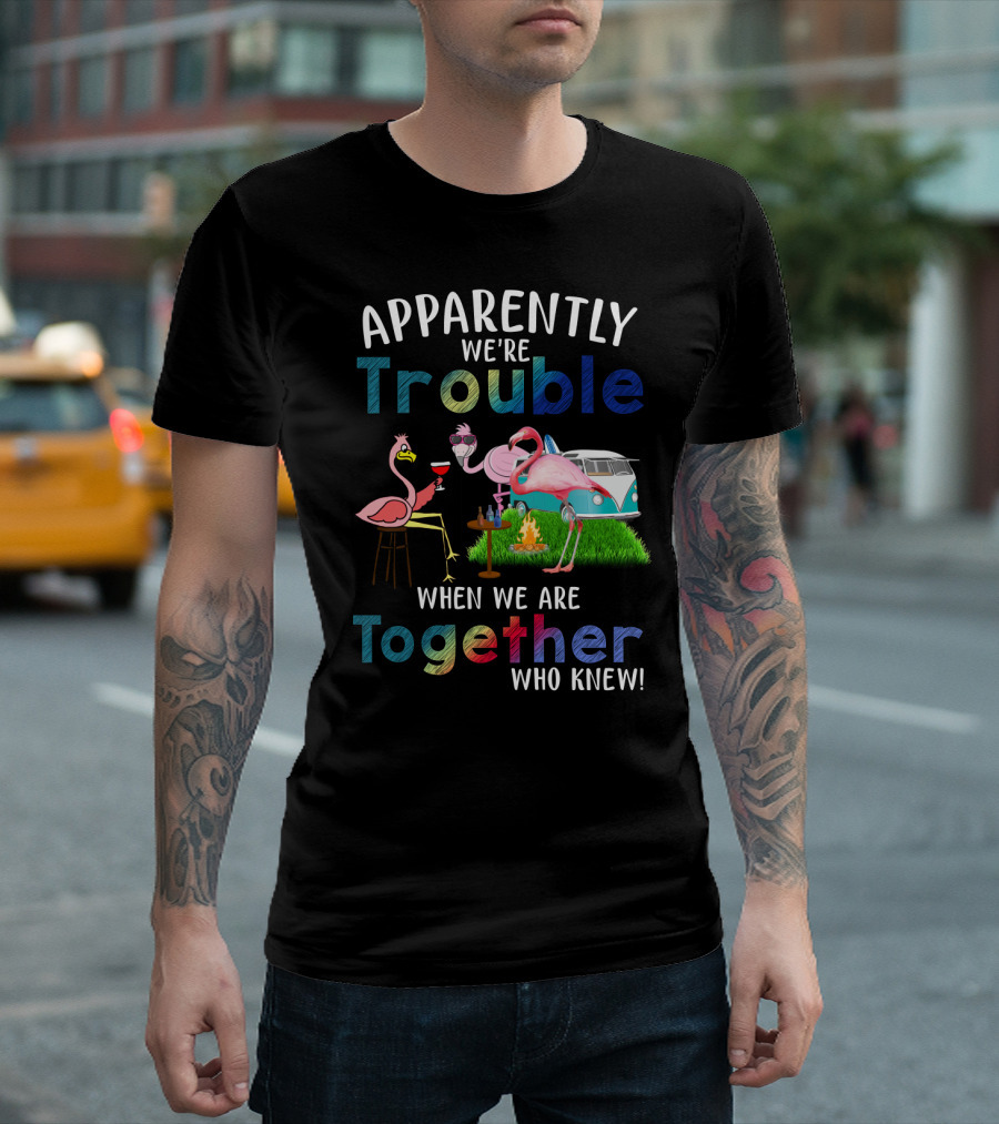 Apparently We're Trouble When We Are Together Flamingos Camping Van Campfire T-Shirt