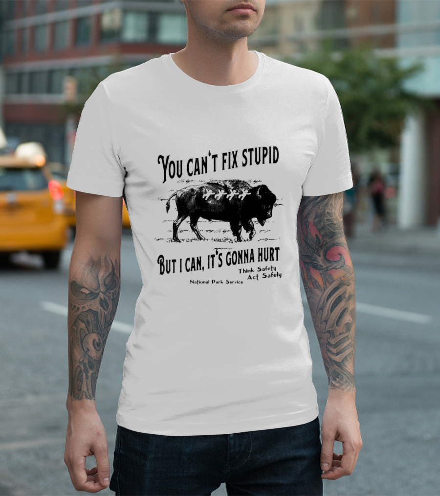 You Can't Fix Stupid But I Can, It's Gonna Hurt Think Safety Act Safely National Park Service T-Shirt