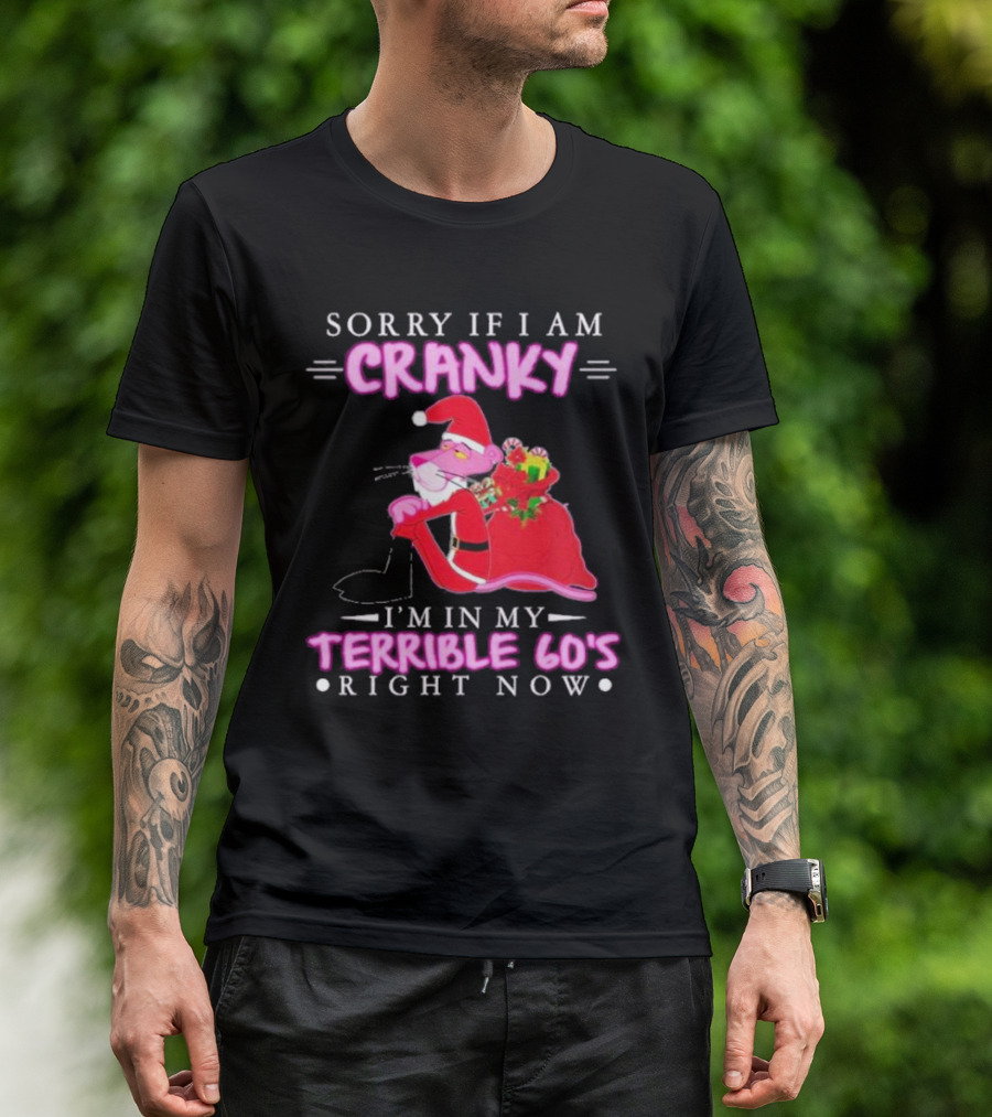 Sorry If I Am Cranky Pink Panther Santa I'm In My Terrible 60's Right Now T-Shirt