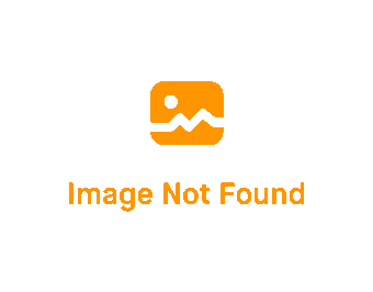 Steal Deez Nuts Christmas Humor Red Text With Hazelnuts And Leaves T-Shirt