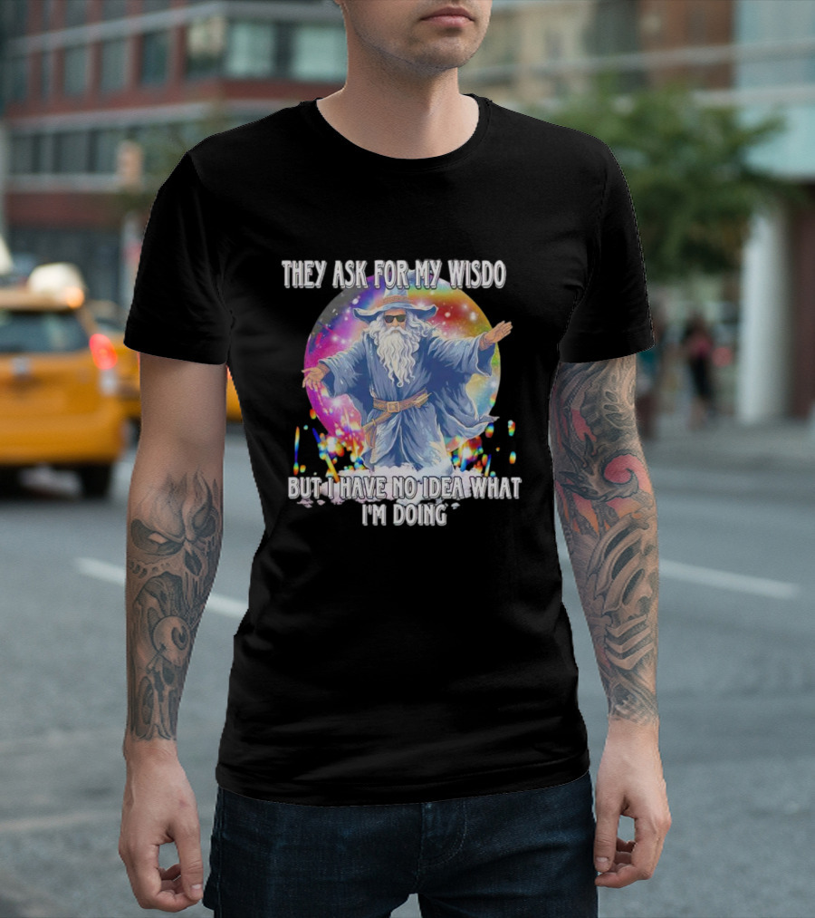 They Ask for My Wisdom But I Have No Idea What I'm Doing Wizard T-Shirt
