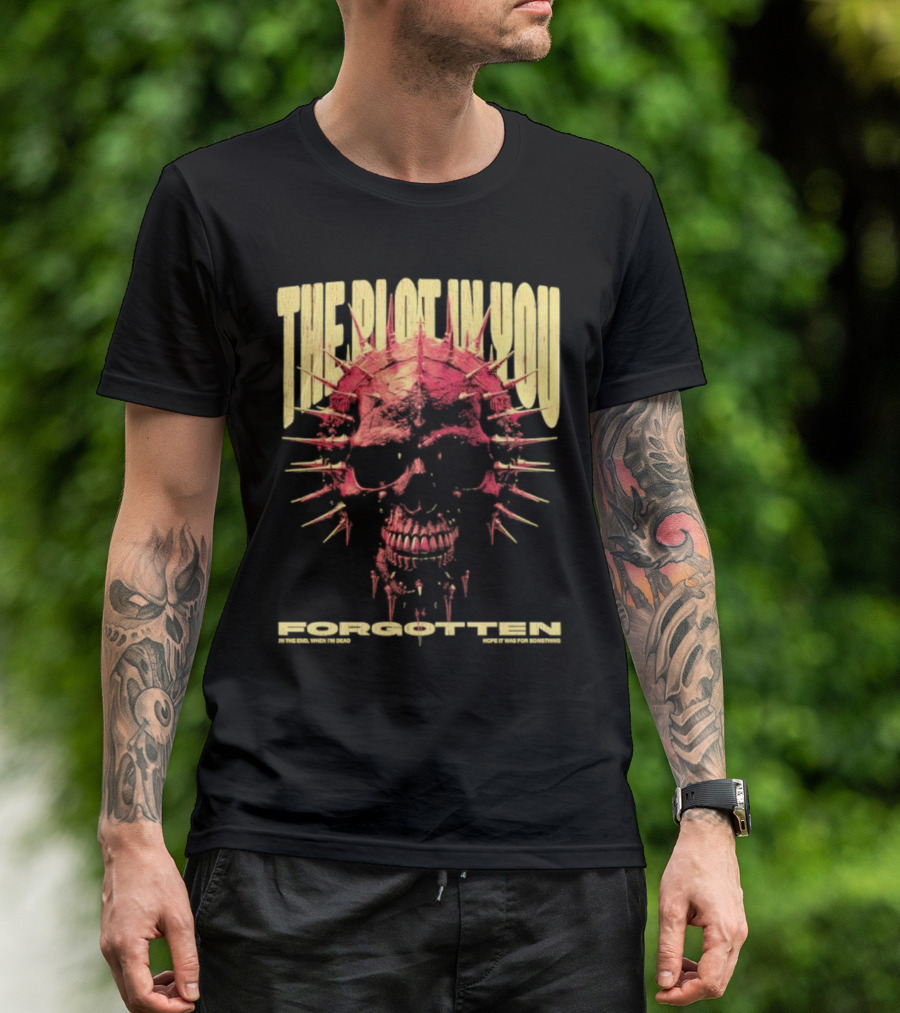 The Plot In You Forgotten Skull Hope It Was For Something T-Shirt