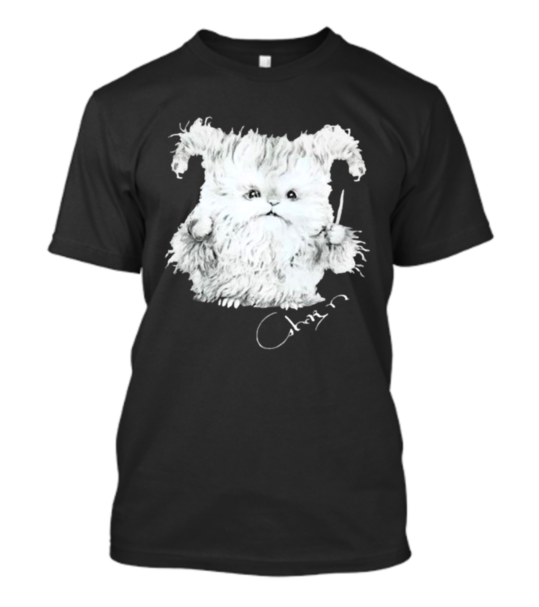 Clairo Charm Wizard Fluffy Creature With Wand T-Shirt